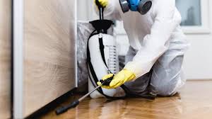 Best Fumigation Services  in St David, AZ